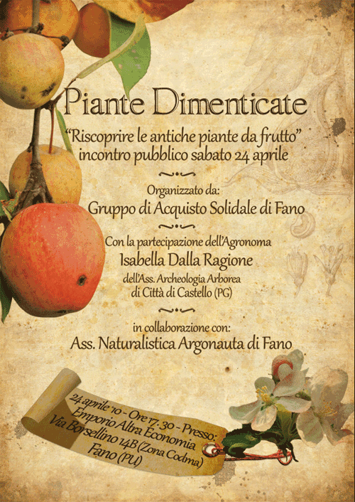 Piante dimenticate