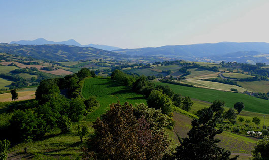 “Andar per Radici”
